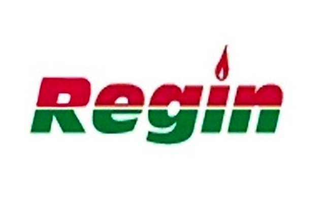 Regin REGQ127 Brass Olives - 6mm (6)